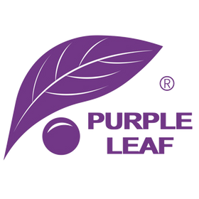 PURPLE LEAF BE