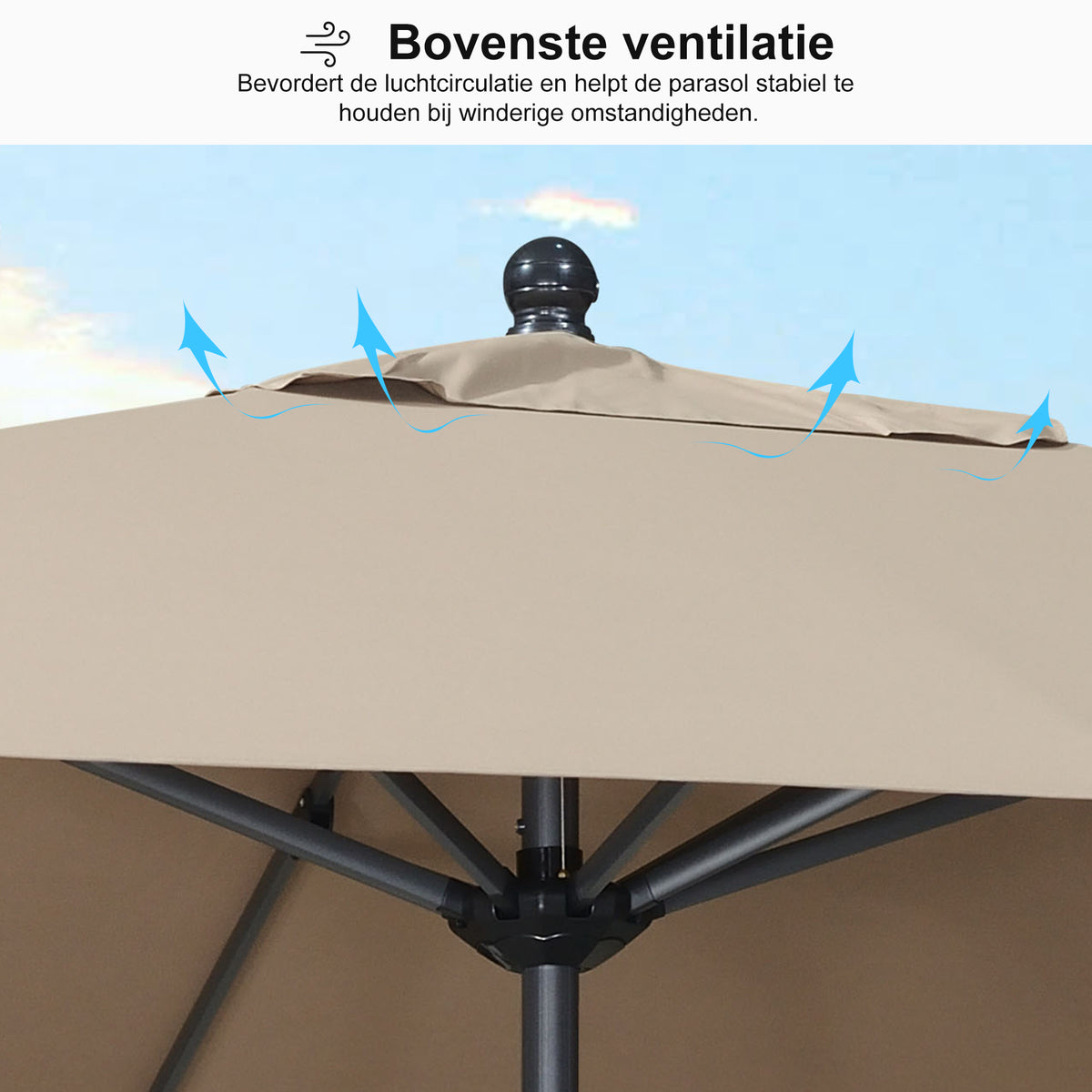 PURPLE LEAF Stokparasol met Slinger en Kantelfunctie voor Tuin en Terras