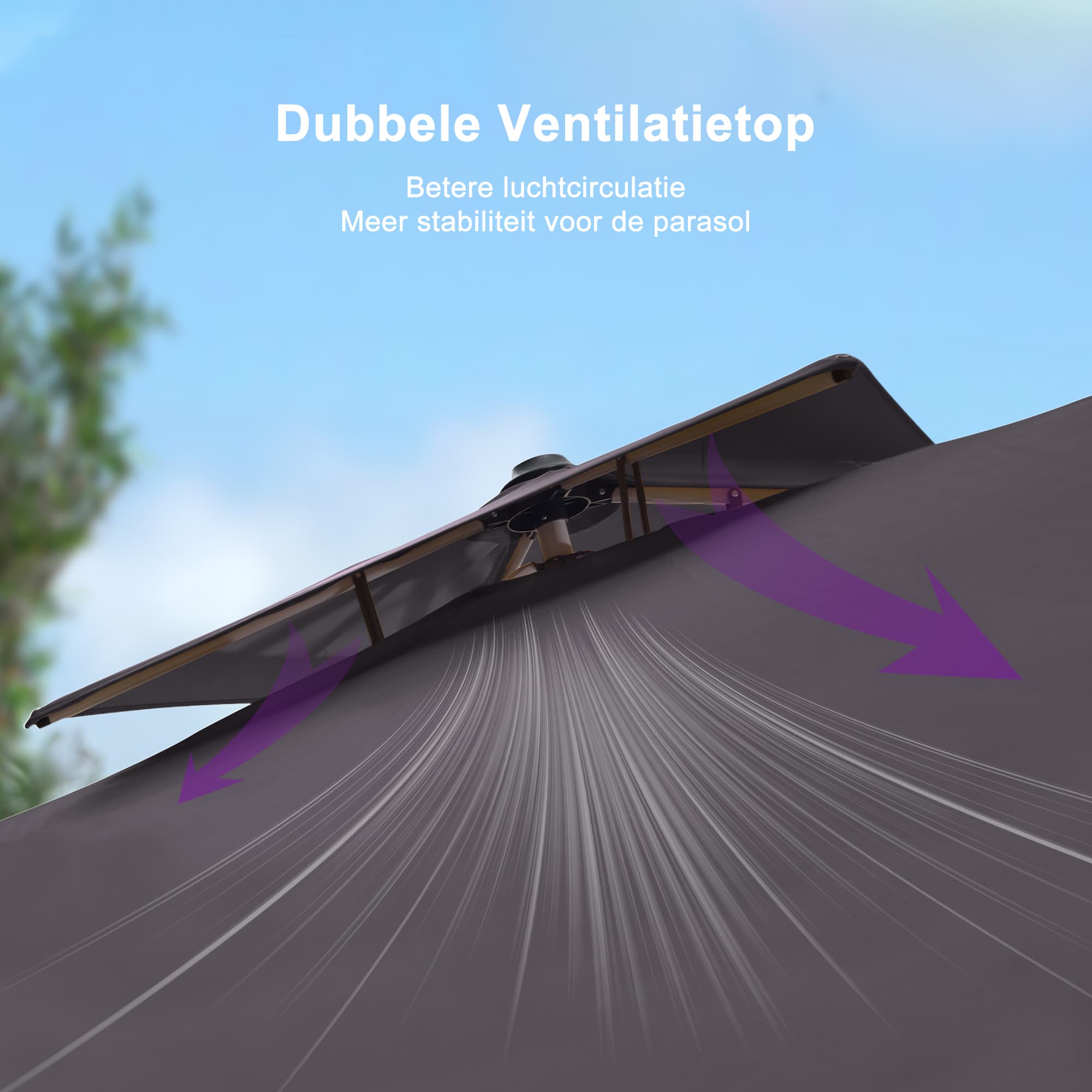 PURPLE LEAF Dubbel Top 270 x 330 / 270 x 365 / 300 x 365 / 300 x 400 cm Rechthoekige Buitenshuis Parasol
